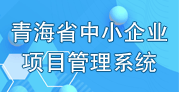 青海省中小企业数据直报和项目申报系统